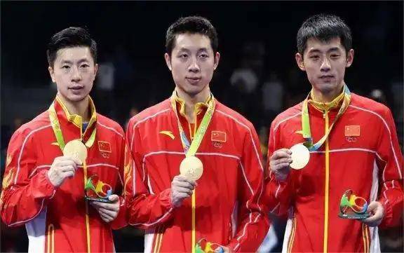 开云体育APP下载-波兰队横扫韩国队，许昕点燃赛场