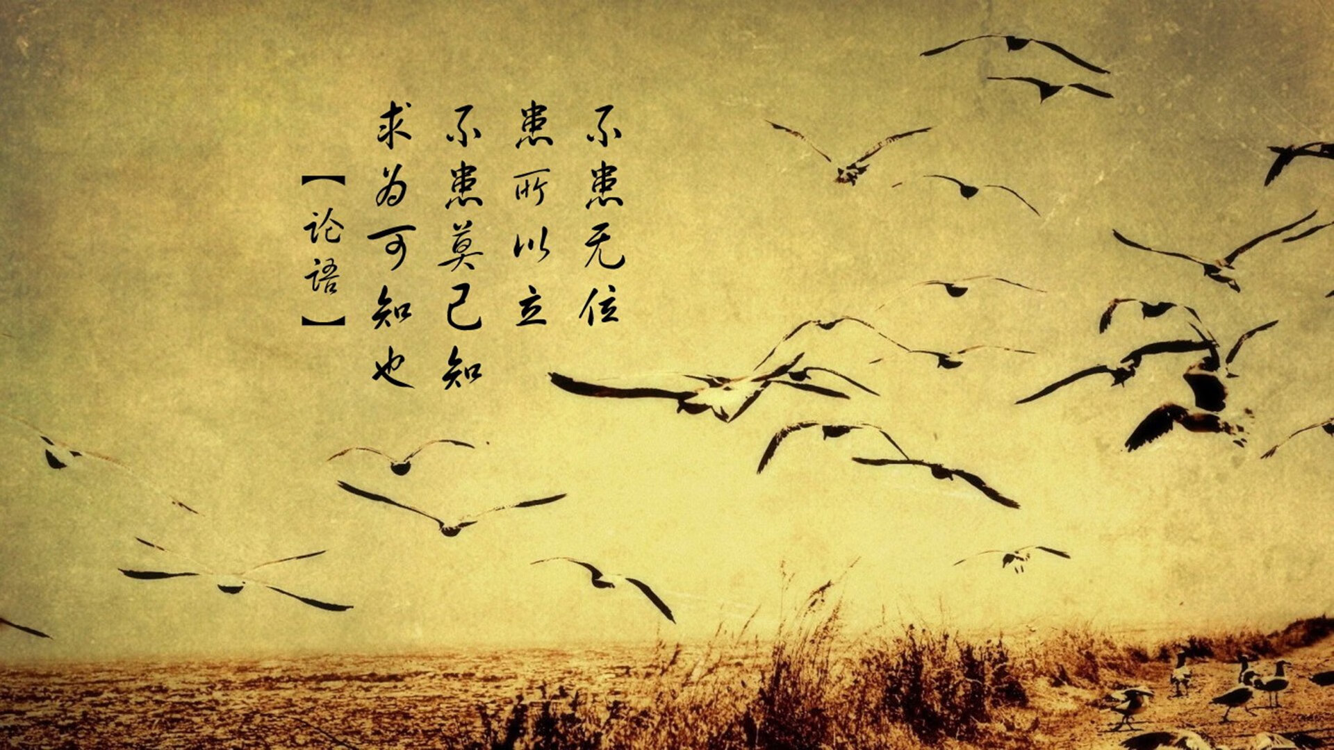 开云平台-范弗利特式爆发！北京队以北境风暴速胜广东，定义新时代对决